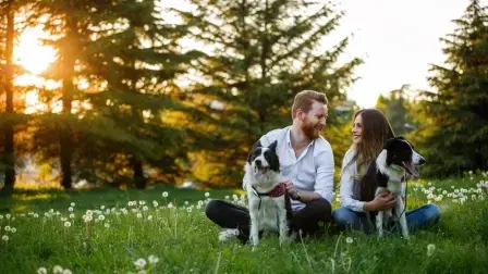 1Bp9AFgv7RYRkRRZrQbhgg (1)